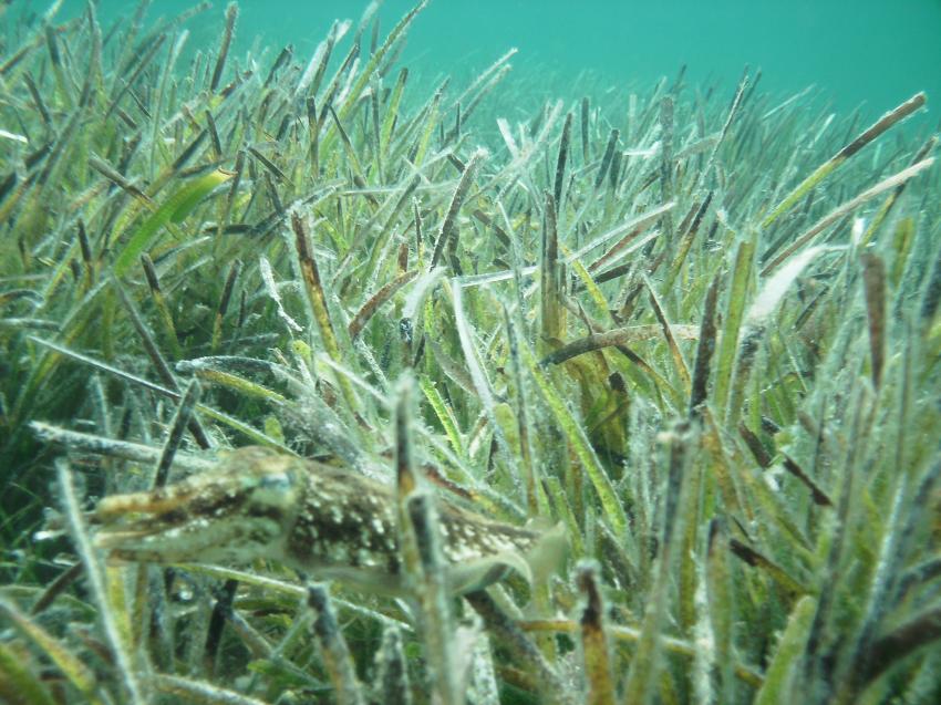 Halkidiki - Athos, Halkidiki - Athos,Griechenland