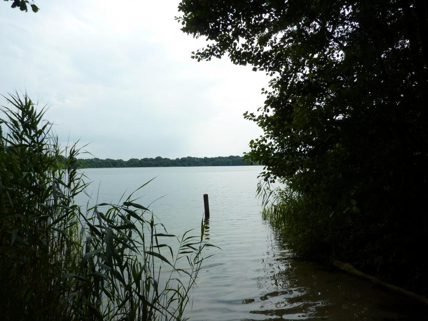 Blankenburger See Nordufer 01.08.2010, Blankenburger See Oldenburg,Niedersachsen,Deutschland,Einstieg,See,Ufer,Schilf