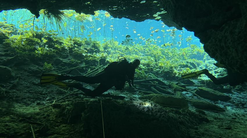 "Nicte Ha", Planet Scuba Mexico, Mexiko