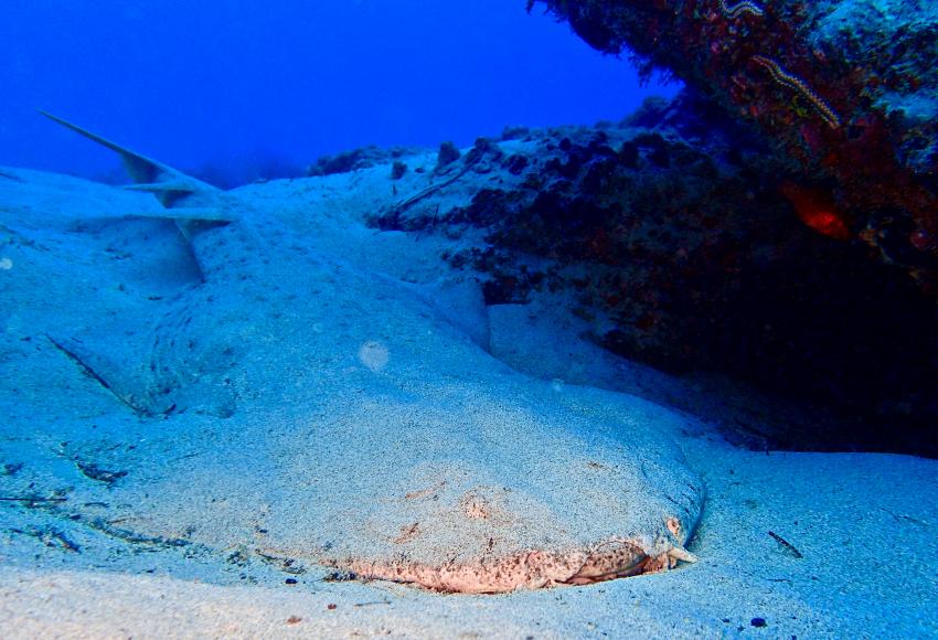 Fuerteventura Buceo Diving Center,  Jandia, Spanien, Kanaren (Kanarische Inseln)