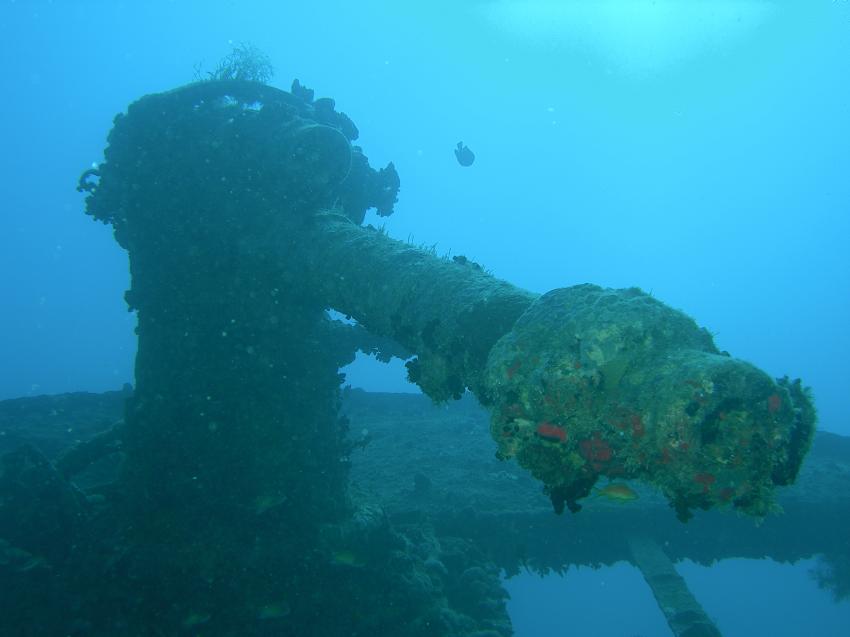 Thistlegorm, Wrack der SS Thistlegorm (Sharm El Sheikh),Ägypten
