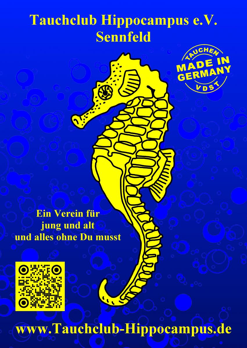 Flyer Vorderseite, Tauchclub Hippocampus e.V. Sennfeld, Deutschland, Bayern