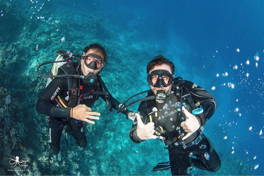 Eagle Divers, Sharm el Sheikh, Ägypten, Sinai-Süd bis Nabq