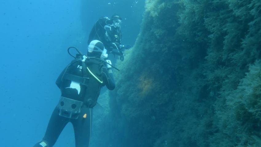 Extra Divers - Gozo, Malta, Gozo