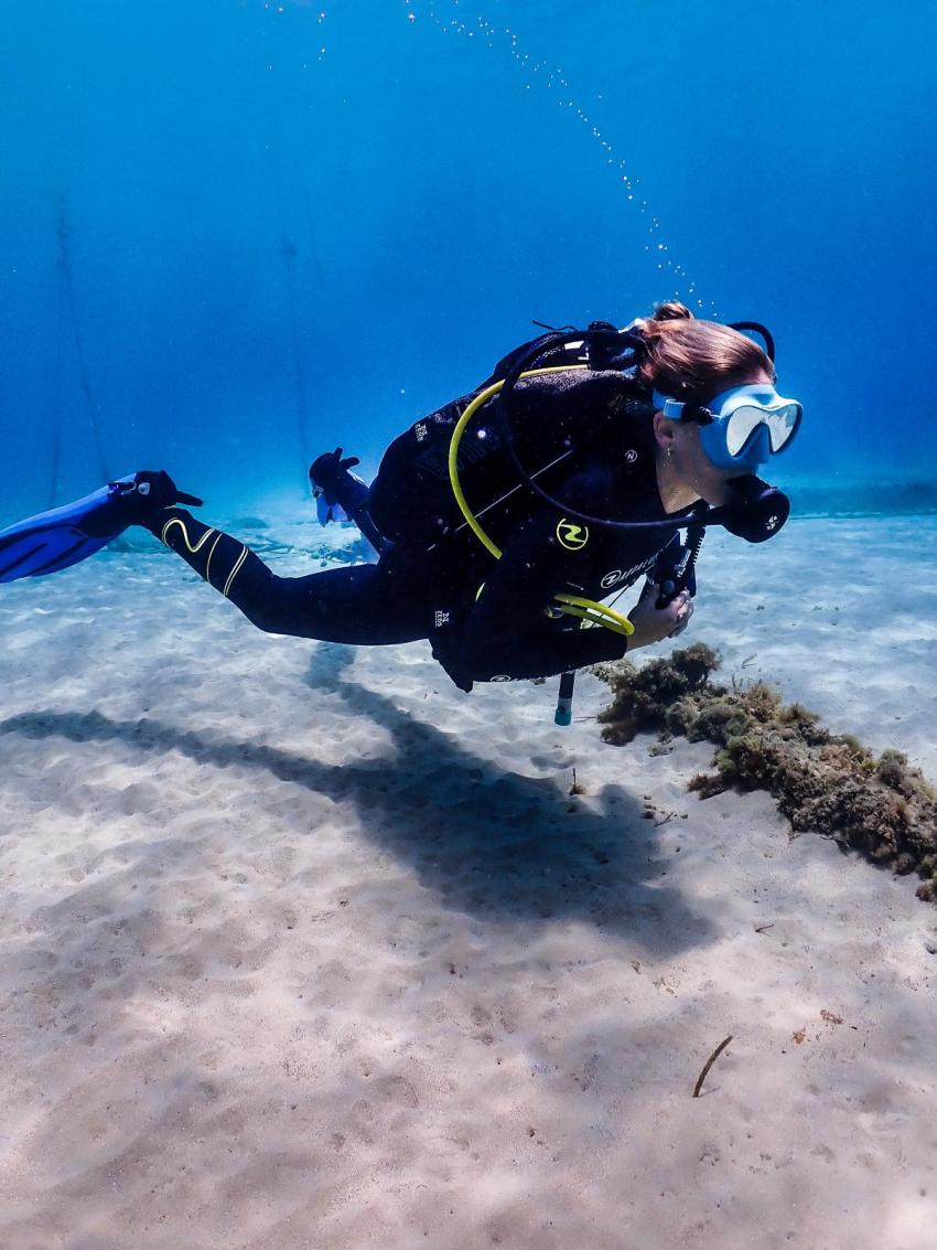 Taucher, Utina Diving, Xlendi Bay, Gozo, Malta, Gozo