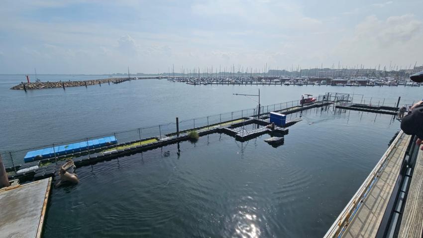 Blick auf einen Teil des Forschungszentrum + Yachthafen dahinter, Tauchschule 'baltic-diver-circle' Rostock / Rügen, Deutschland, Mecklenburg-Vorpommern