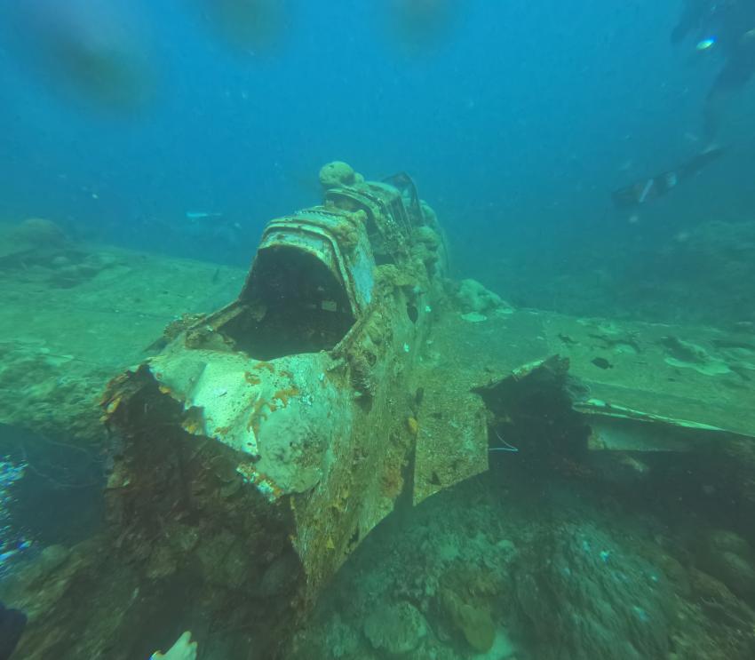 MY Black Pearl, Palau