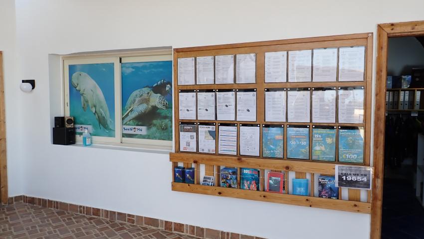 Sea World Diving Center, Marsa Alam, Ägypten, Marsa Alam und südlich