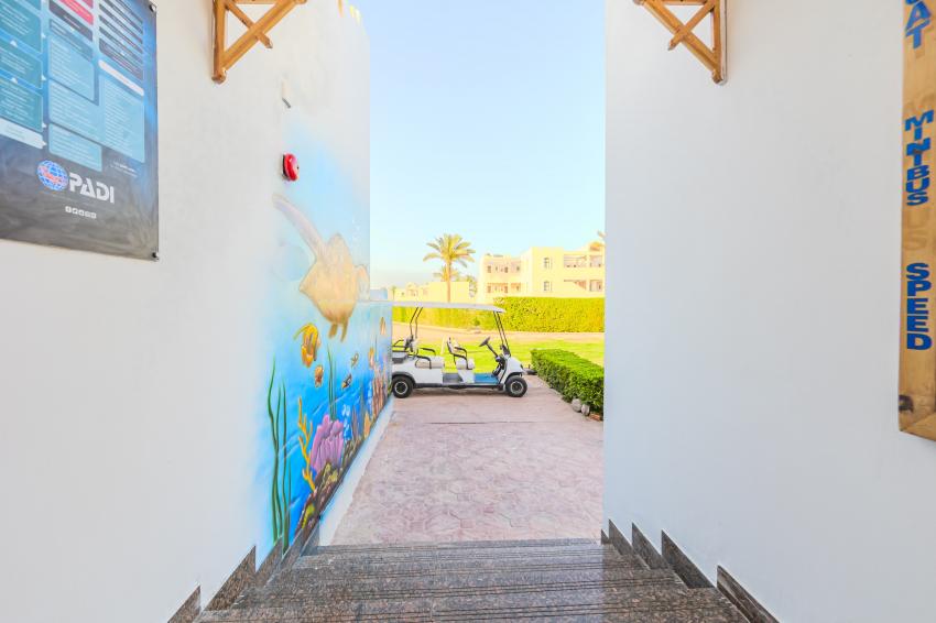 Scuba World Divers, Sol Y Mar Reef Marsa, Marsa Alam/Port Ghalib, Ägypten, El Quseir bis Port Ghalib