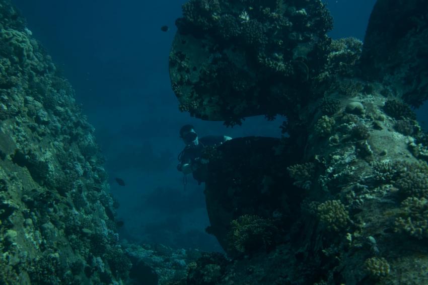Extra Divers - Makadi Bay, Ägypten, Safaga