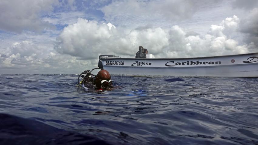 Caribbean Divers, Boca Chica, Dominikanische Republik