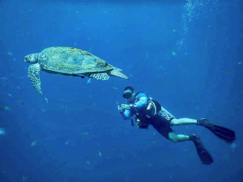 DM John mit Schildkröte, Schildkröte Koh Tao Divemaster, Silent Divers, Koh Samui, Thailand, Golf von Thailand