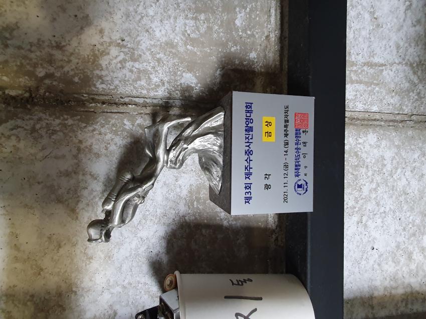 Moby Dick Diving Jeju, Südkorea