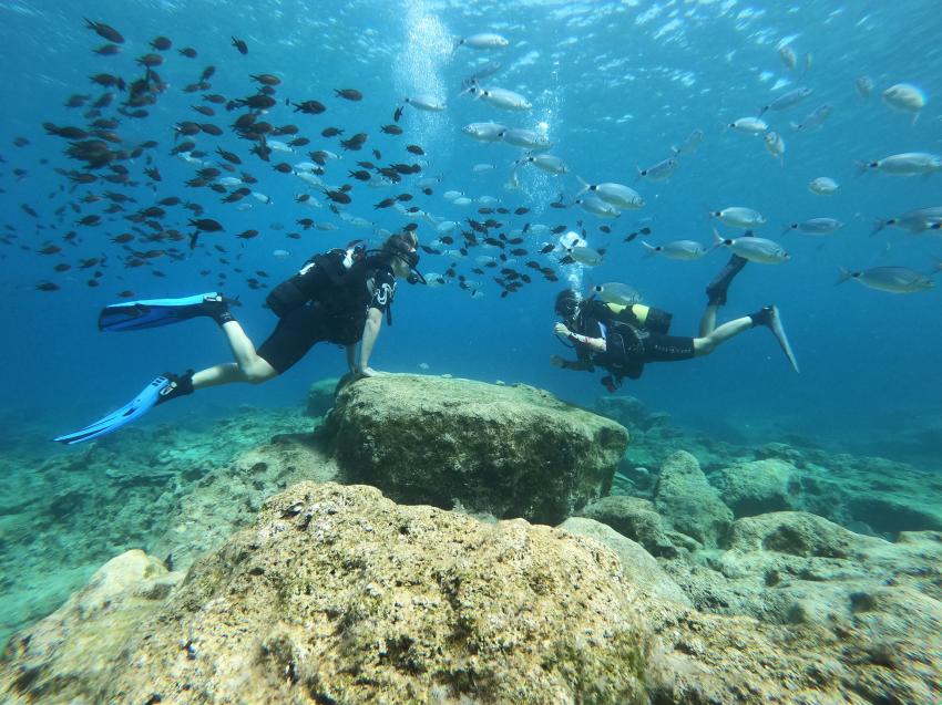 Green Bay Fish Rock, Cyprus Diving Centre, Pernera, Zypern