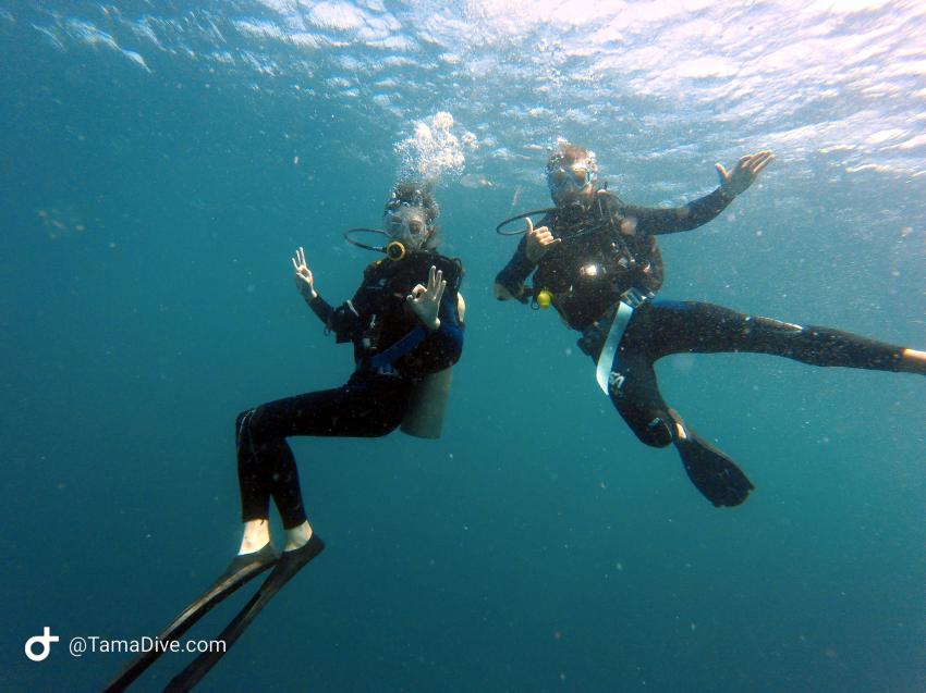 Divers submerged, TamaDive Dive School, Tamarindo, Costa Rica