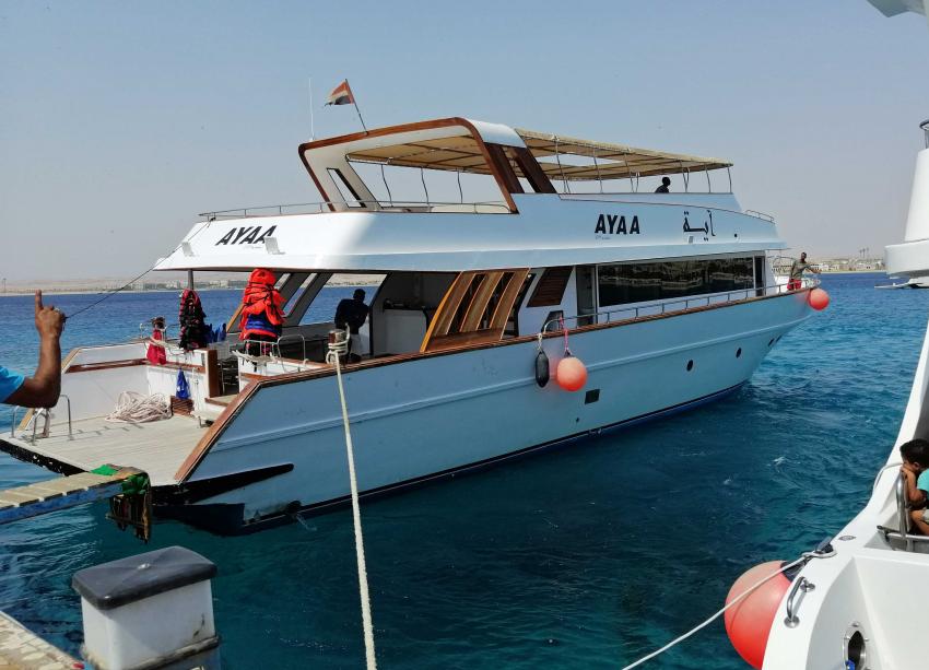 Das Tauchboot, Crazy Waves Diving Club, Tropitel - Sal Hasheesh, Ägypten, Hurghada