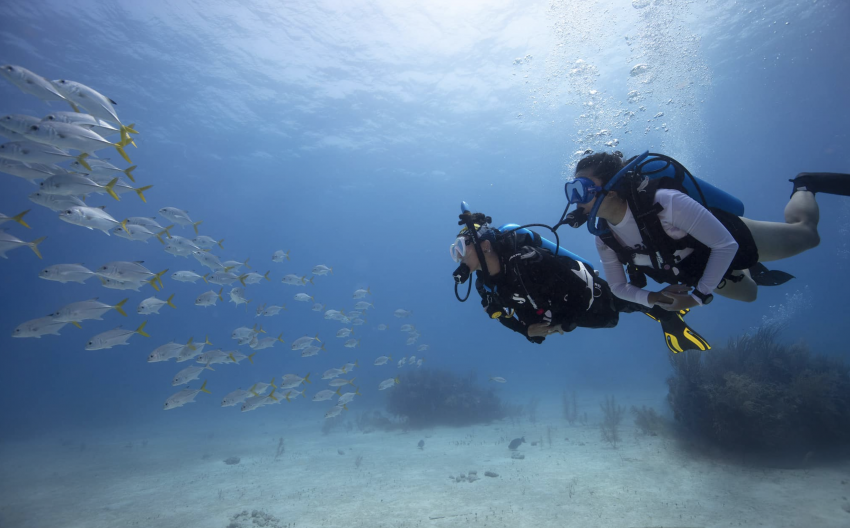 Blue Ocean Divers, Mauritius