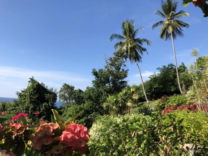 Botanischer Garten, Lumbalumba Diving Resort, Manado, Sulawesi, Indonesien, Sulawesi