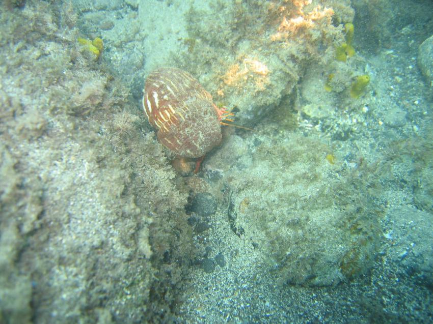 Fuerteventura - Chupadero Nord, Fuerteventura - Chupadero Nord,Spanien