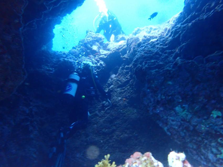 Dive Point 57, Spanien, Kanaren (Kanarische Inseln)