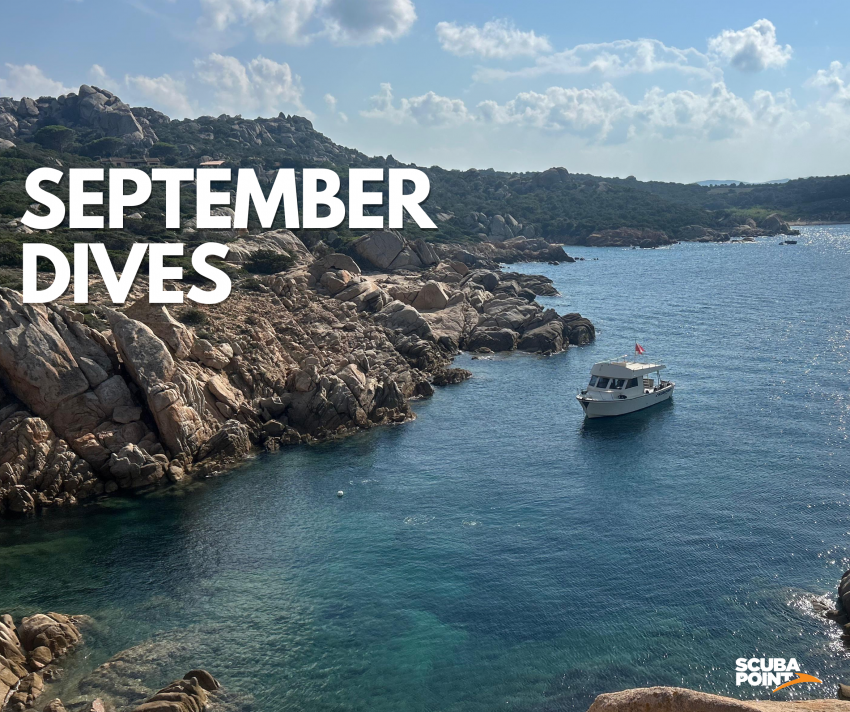 Scuba Point Diving Palau - SARDINIA, Italien, Sardinien