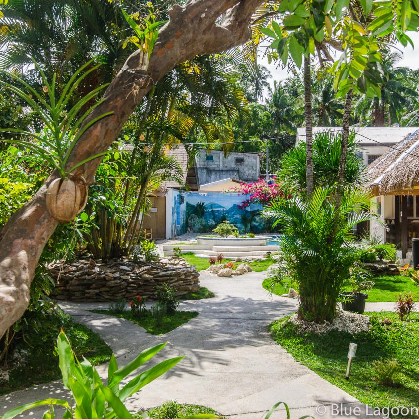 Unser Tropicales Garten, Blue Lagoon Dive Resort, Puerto Galera, Philippinen