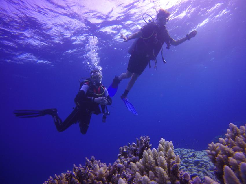 Extra Divers - Hotel Viva Blue, Sharm el Naga, Ägypten, Safaga