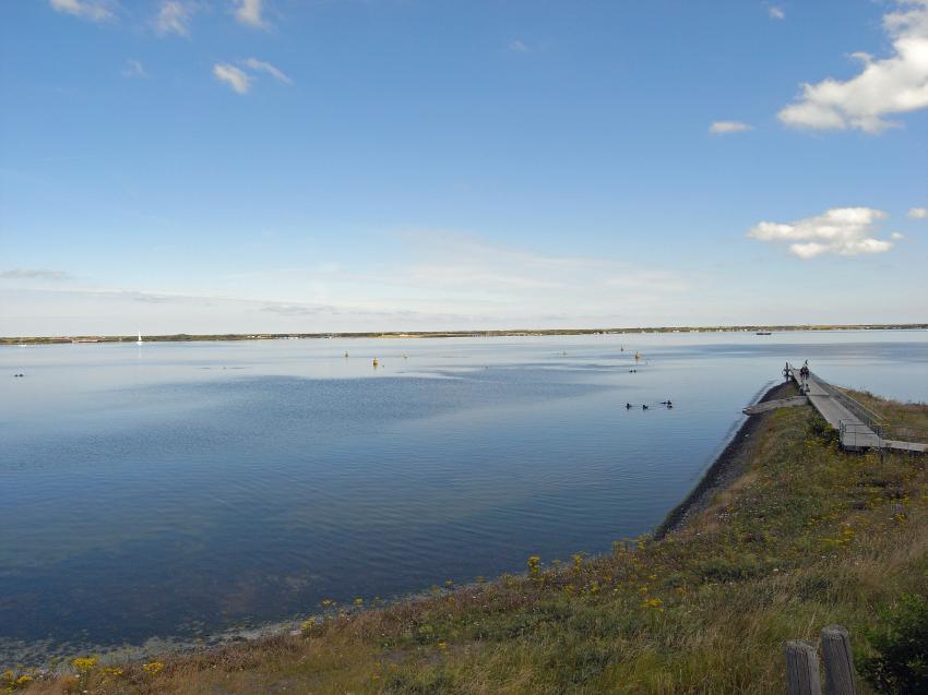 TP:Kabbelaarsrif, Scharendijke,Grevelinger Meer,Niederlande