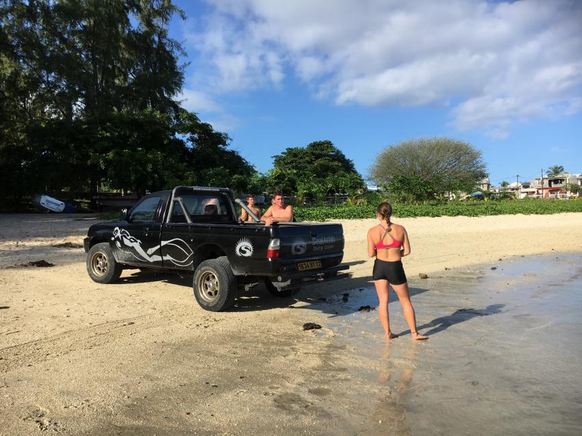 PickUp, Sea Urchin, Flic en Flac, Mauritius