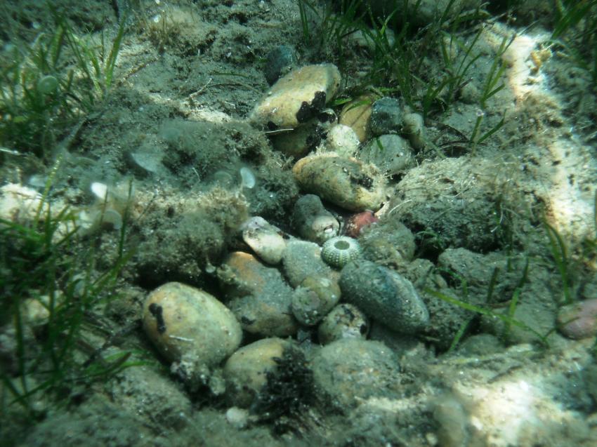 Halkidiki - Athos, Halkidiki - Athos,Griechenland