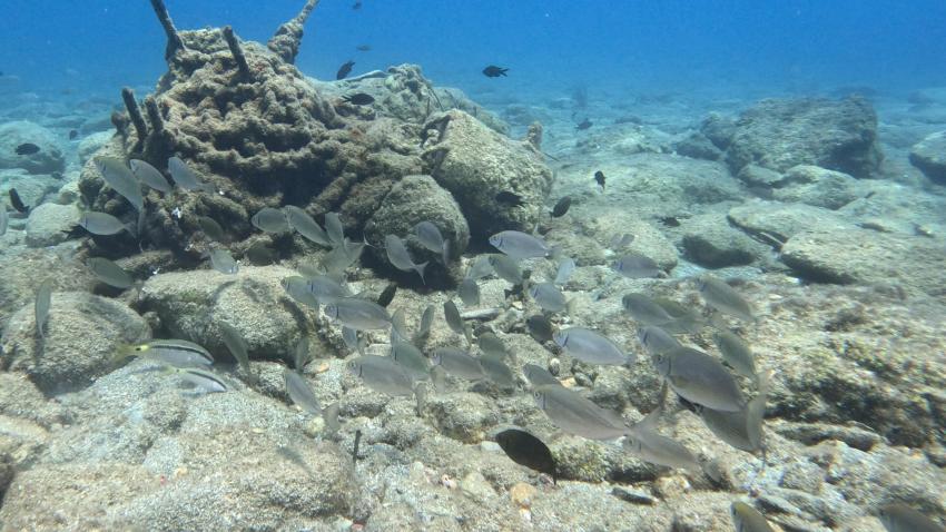 Am Strand, Stay Wet, Mononaftis Bay, Kreta, Griechenland