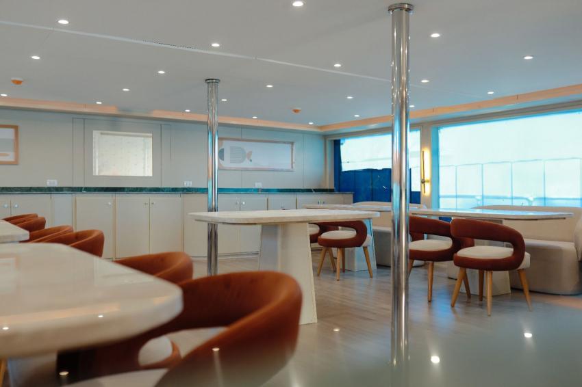 salon, AVO, Sea Mad Liveabords, Ägypten, El Quseir bis Port Ghalib