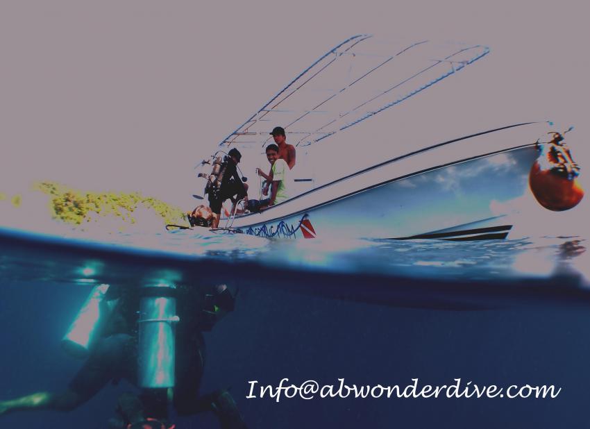 ABWonderdive the real stuff., Mindoro,Philippinen