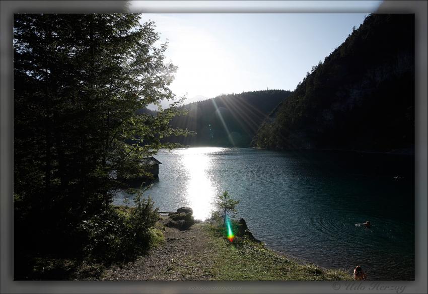 Blindsee - Steilwand, Bäume, Fische, Taucher, Blindsee,Lermoos,Österreich