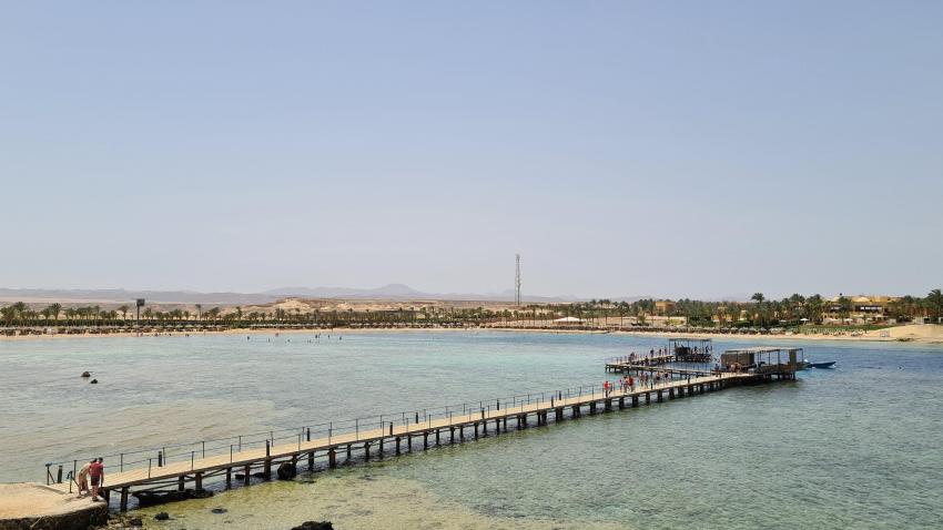 Hausriff , Coraya Divers, Coraya Bay, Marsa Alam, Ägypten, El Quseir bis Port Ghalib