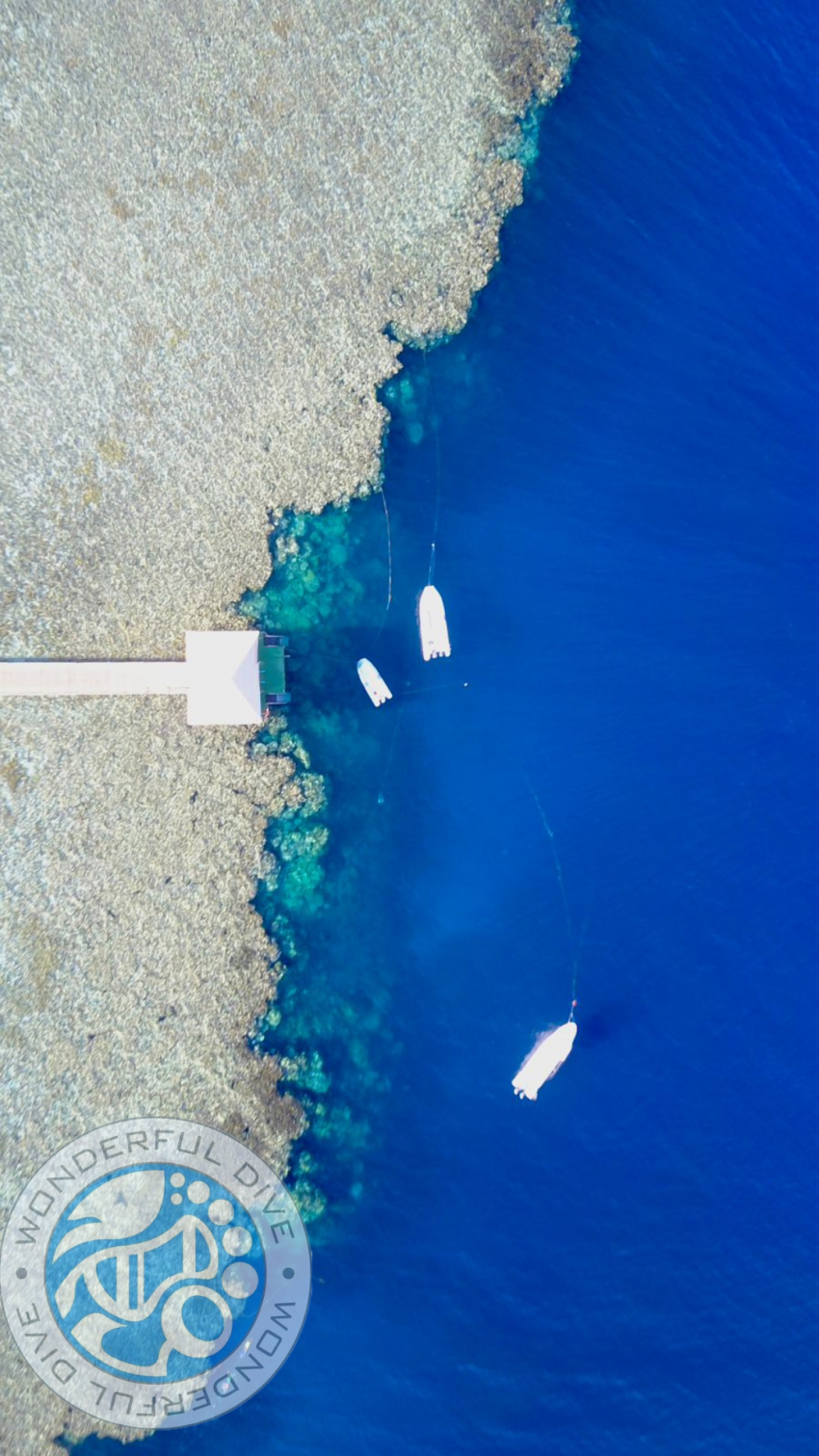 Ansicht mit der Drohne, Wonderful Dive, Rohanou Resort, El Qusier, Ägypten, El Quseir bis Port Ghalib