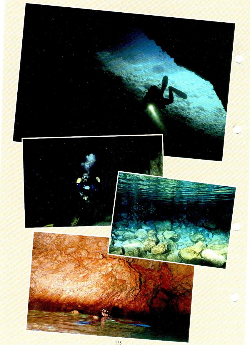 Bilder aus dem hervorragenden Buch von Murat Draman, -the diving guide of kas - archipel diving kas, kas - the diving guide of kas,Türkei