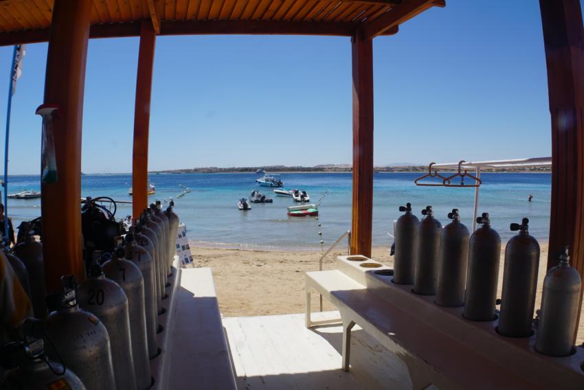 Diving Ocean - Hotel Prima Life Resort, Ägypten, Safaga