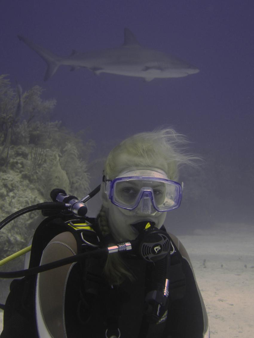 Viva Diving, Grand Bahama