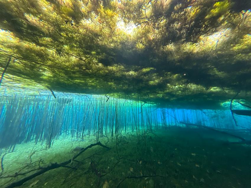 In der Orid-Quelle, Amfora Ohrid, Mazedonien