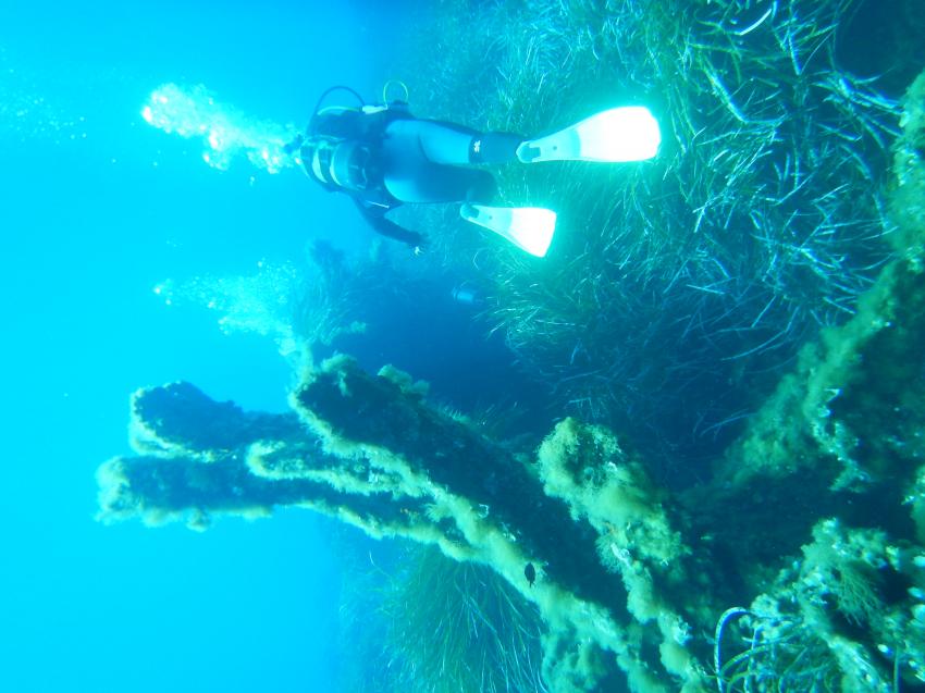 Entella Wrack, Ocean Blue Diving, Kala e Moru, Geremeas (Sardinien), Italien, Sardinien