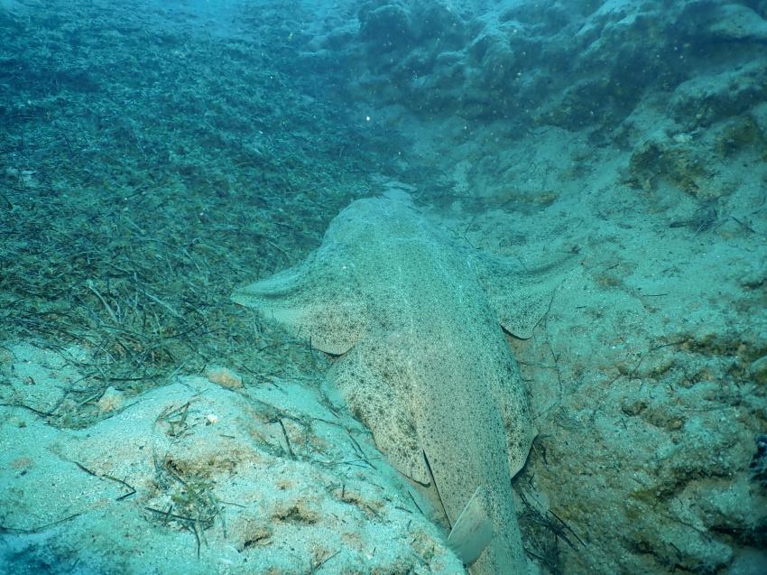 Fuerteventura Buceo Diving Center,  Jandia, Spanien, Kanaren (Kanarische Inseln)