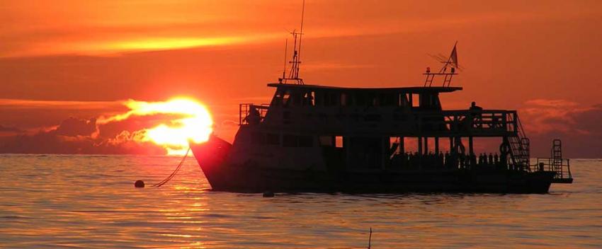 Simple Life Divers, Koh Tao, Thailand, Golf von Thailand