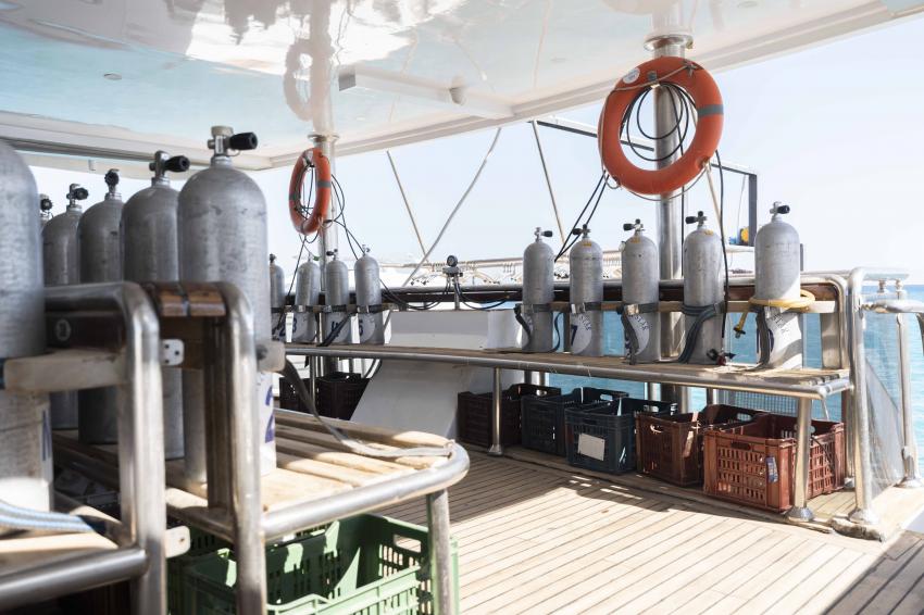 MV Marselia Star, Ägypten