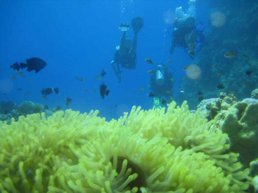 Extra Divers - Equinox, Marsa Alam, Ägypten, Marsa Alam und südlich