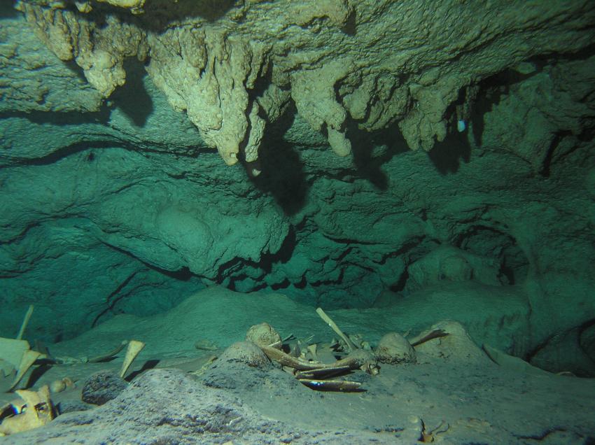Sipadan - Höhlentauchen, Sipadan,Malaysia,Knochen von Schildkröten,Höhle,Stalaktiten