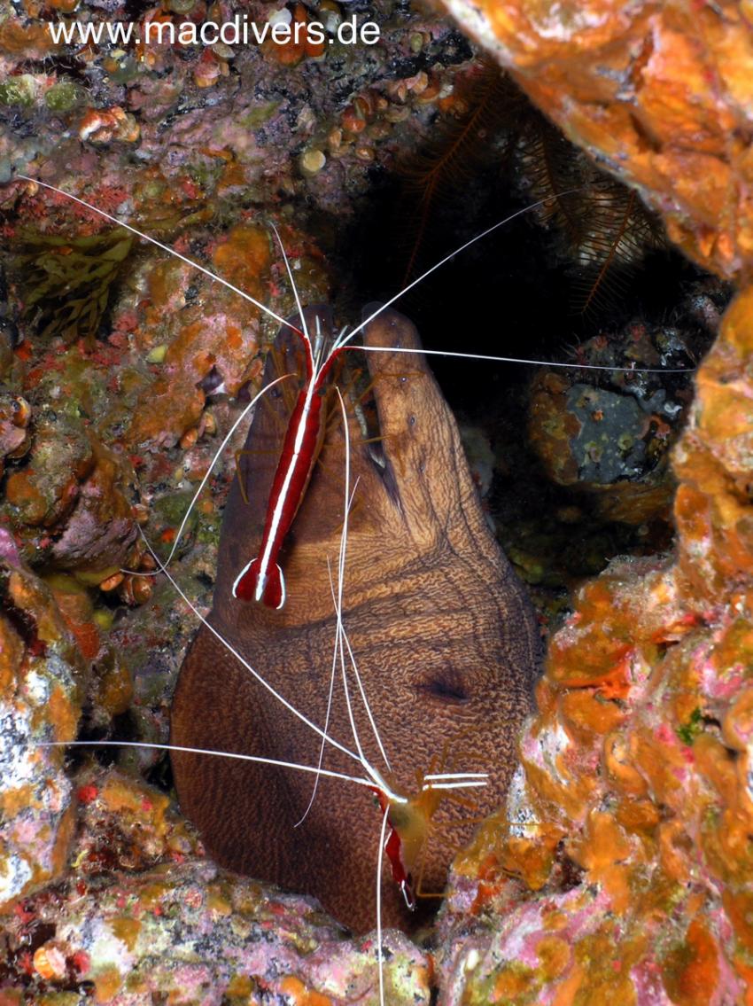 El Hierro, El Hierro,Spanien