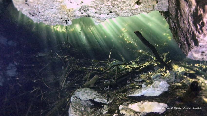 Cenote-Diving.Com (diving.DE Cenotes), Mexiko