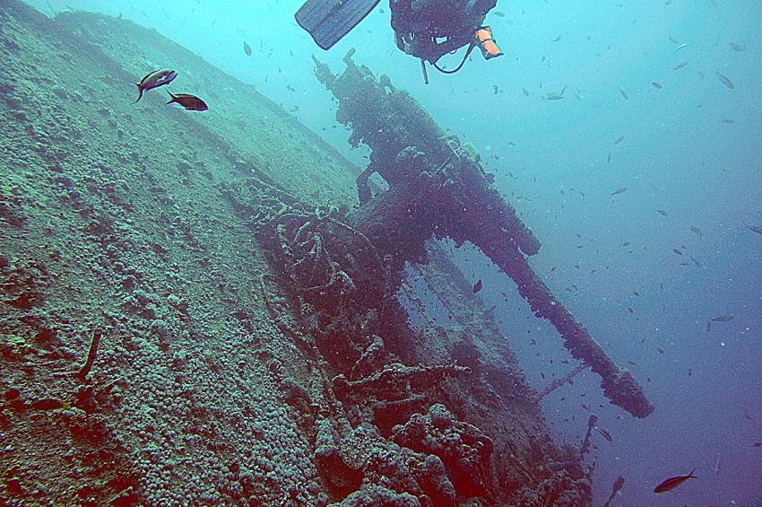 Wrack der Thistlegorm, Wrack der SS Thistlegorm (Sharm El Sheikh),Ägypten,Heck-Kanone (ein Überbleibsel des 1. Weltkrieges)