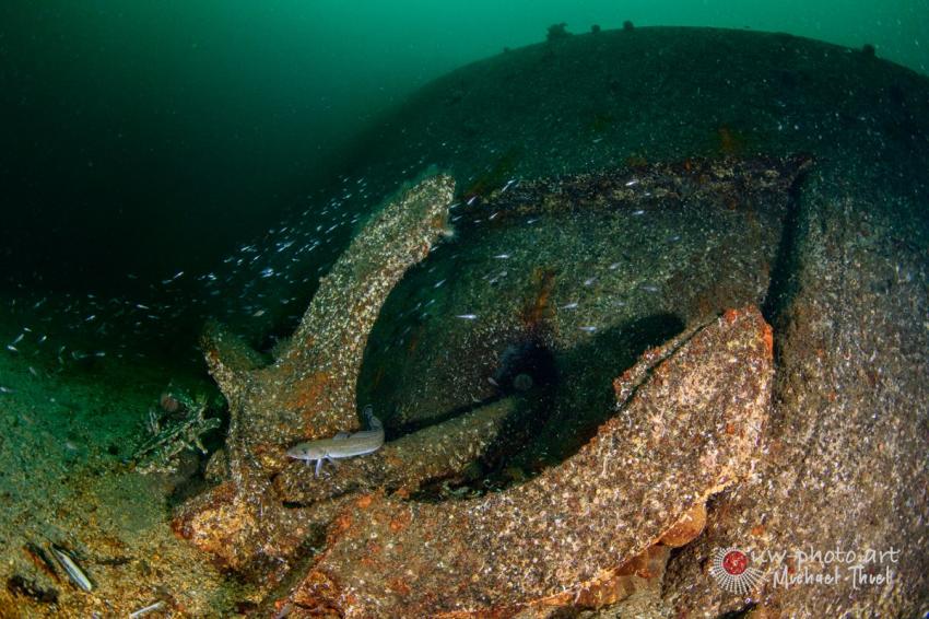 eines der Wracks in Shetland, MV-Valhalla, Orkney and Shetland Charters, Großbritannien, Schottland